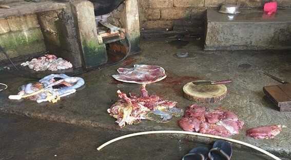Pengusaha Warung Makan Diamankan Polisi Karena Perdagangkan Daging Penyu