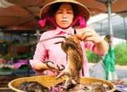 Cegah Resiko Pandemi Baru, Vietnam Larang Perdagangan Satwa Liar