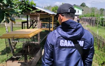 Pemilik Taman Satwa Ilegal Divonis 1 Tahun 3 Bulan Penjara