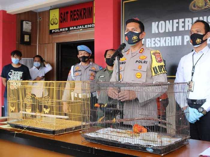 Polres Majalengka Ungkap Perdagangan Burung Tiong Emas