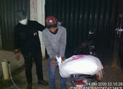 Gakkum KLHK Tangkap Pelaku Perdagangan 24,5 Kg Sisik Trenggiling di Jambi