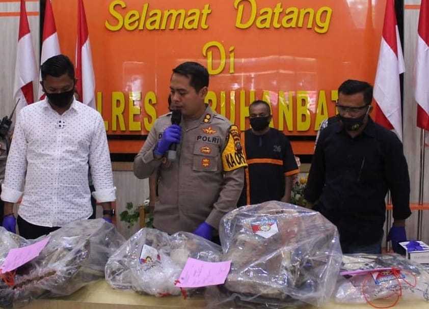 Perdagangan Kulit Harimau di Sumut Digagalkan Polisi, 1 Orang Jadi DPO