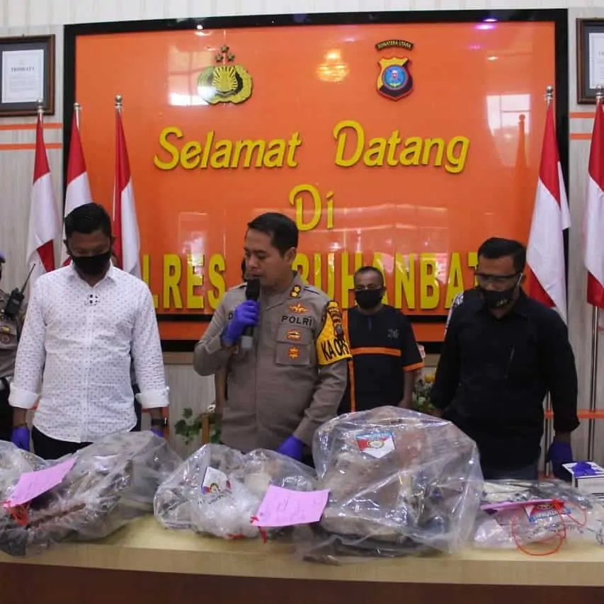 Perdagangan Kulit Harimau di Sumut Digagalkan Polisi, 1 Orang Jadi DPO