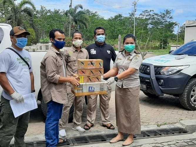 Penyelundupan 870 Burung dari Lampung ke Jawa Digagalkan