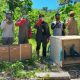 17 Satwa Dilindungi Hasil Sitaan Dilepasliarkan di Papua Barat