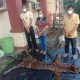3 Tersangka Pedagang Kulit dan Organ Harimau Sumatera Ditangkap
