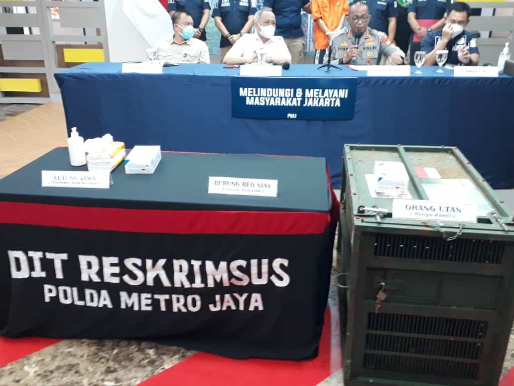 Jual Orang Utan hingga Lutung, YI Ditangkap Polda Metro Jaya