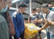 Penjual Lutung Jawa di Jatim Divonis 10 Bulan Penjara dan Denda Rp 50 Juta