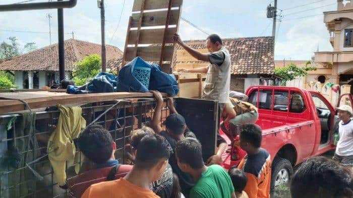 Muncul di Tengah Banjir, 3 Rusa Timor Dievakuasi ke Temanggung