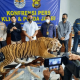 Perdagangan Offset Harimau dan Gading Gajah Berhasil Digagalkan Petugas di Jambi