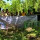 BKSDA Maluku Lepasliarkan Puluhan Satwa Hasil Sitaan dan Serahan Warga