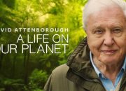 Melihat Solusi untuk Krisis Alam Liar Lewat “David Attenborough: A Life on Our Planet”