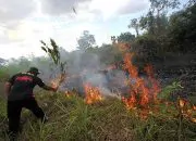 Menghitung Nilai Ekonomi Alam dan Kehidupan Liar