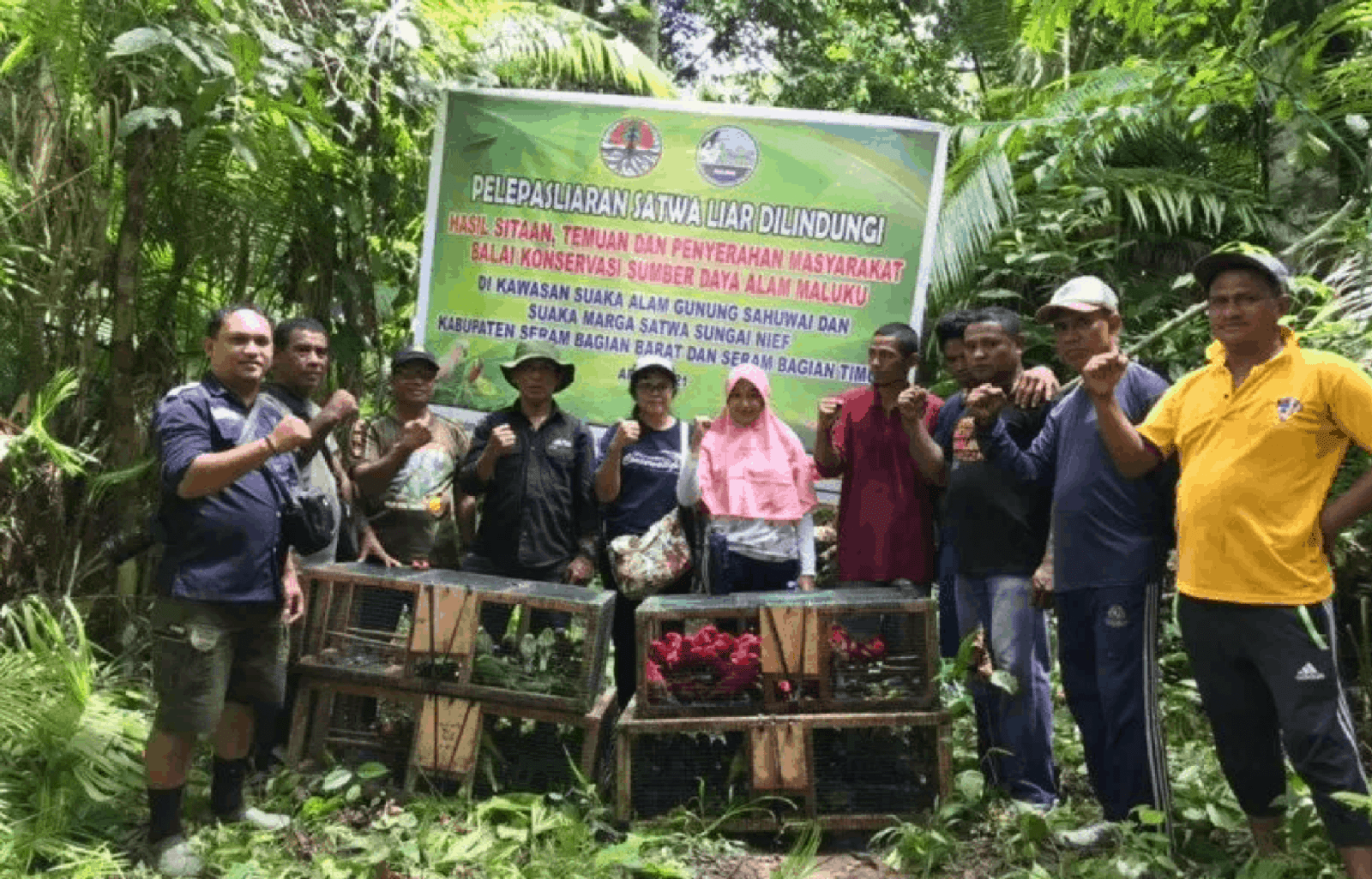 199 Burung Endemik Maluku Dilepasliarkan Oleh BKSDA