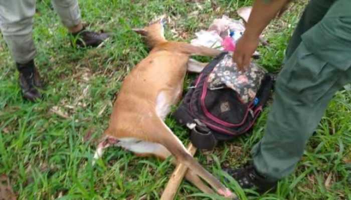 Pemburu Liar di Malang Terpergok Sedang Memburu Satwa Dilindungi