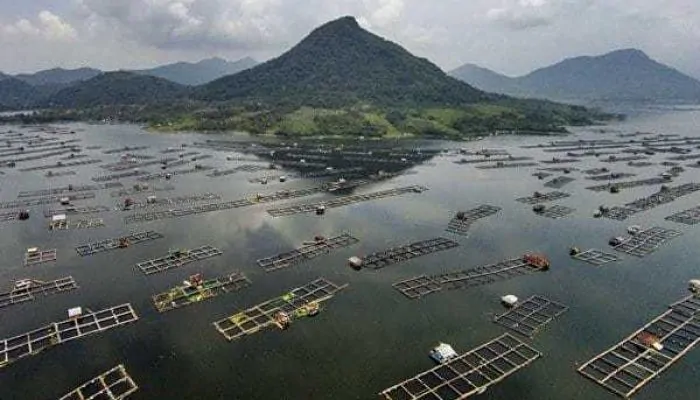 Menyelami Sisi Kelam Waduk Jatiluhur