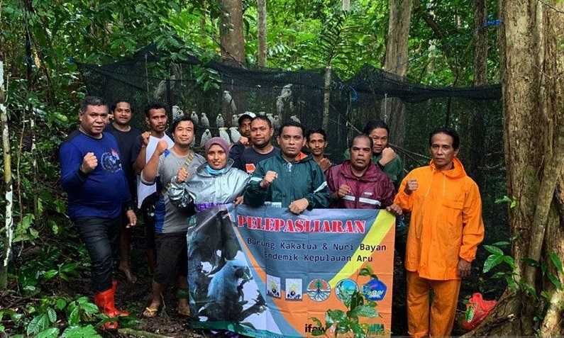 BKSDA Maluku Lepasliarkan 150 Satwa Endemik