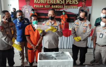 Penyelundupan Benur Senilai Rp 10,14 Miliar Digagalkan, 3 Pelaku Diamankan