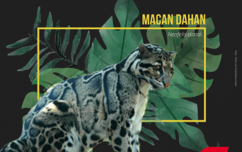 macan dahan