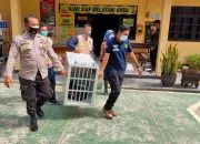 Macan Dahan Masuk Perkampungan, Diduga Satwa Peliharaan