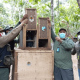 Setelah Perjalanan Panjang, 12 Satwa Endemik Papua Dilepasliarkan