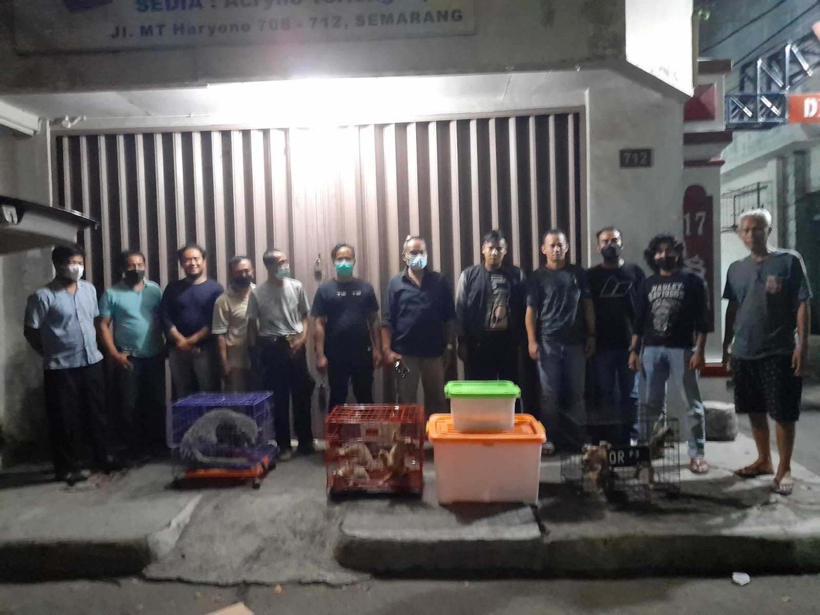 Nekat Jual Kukang, Reptiler Semarang Diciduk Polisi