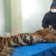 Harimau sumatera yang sempat dievakuasi kini mati di Tempat Penyelamatan Satwa (TPS) BKSDA Jambi. | Foto: Azhari Sultan/Inews.id