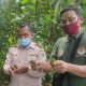 Burung cucak hijau dilepasliarkan oleh BKSDA Pos Jaga Sampit dan Petugas Balai Karantina Wilayah setempat ke alam liar. | Foto: Borneonews