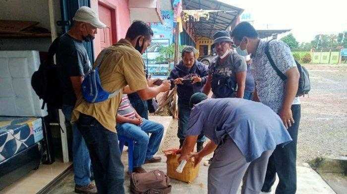 Seorang pelaku berinisial TP berhasil ditangkap oleh Gakkum KLHK Wilayah Sumatera karena kedapatan membawa sisik trenggiling sebanyak 8 kg. | Foto: Istimewa/Tribun News Jambi