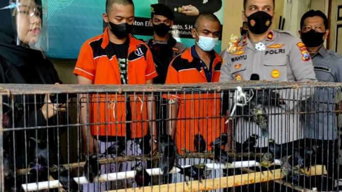 Dua tersangka yang melakukan penyelundupan ratusan satwa liar tanpa dokumen, termasuk burung dilindungi berhasil diamankan. | Foto: Radar Surabaya