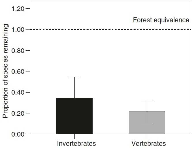 Gambar II. Grafik sederhana yang memperlihatkan penurunan biodiversitas di perkebunan sawit. Garis putus-putus di atas memperlihatkan proporsi jumlah spesies yang ada di hutan alam. Grafik hitam memperlihatkan jumlah spesies invertebrata yang tersisa di perkebunan sawit (kurang dari 40%), sedangkan grafik abu-abu memperlihatkan jumlah spesies vertebrata (hampir menyentuh angka 20%). | Sumber: Savilaakso dkk. (2014)