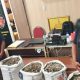 Sebanyak 150 kilogram sisik trenggiling berhasil diamankan oleh Polda Sumut dari upaya perdagangan ilegal satwa liar. | Foto: Dok. Polda Sumut/Kompas