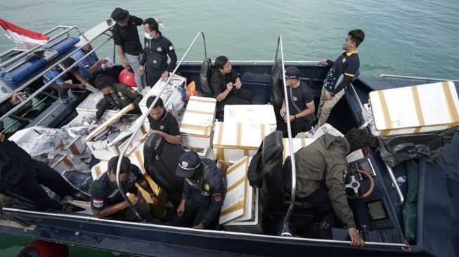 Satuan Patroli Bea Cukai Kepri menggagalkan penyelundupan benih lobster sebanyak 138.000 ekor yang diduga akan dibawa ke Singapura. | Foto: Suara.com
