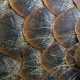 Ilustrasi sisik trenggiling (Manis javanica). | Foto: Milos Andera/Nature Photo