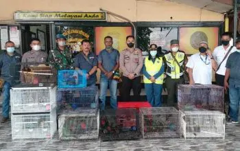 Berbagai jenis burung berhasil diamankan, termasuk burung cenderawasih dan kakatua. | Foto: Istimewa/Teropongnews