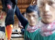 Ungkap Jual Beli Organ Satwa, Gakkum Kalimantan Temukan Tengkorak Orangutan