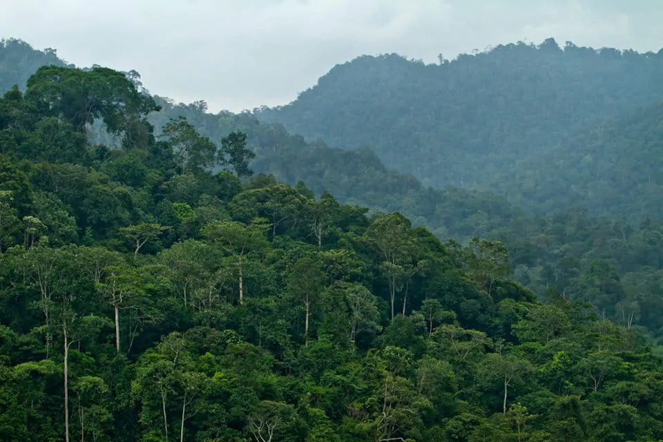 Pegunungan Meratus di Kalimantan Selatan. | Foto: Denny Saputra/MI