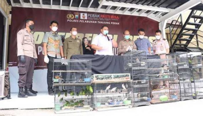 Penyelundupan Ratusan Burung Dilindungi Asal Borneo Berhasil Dicegat