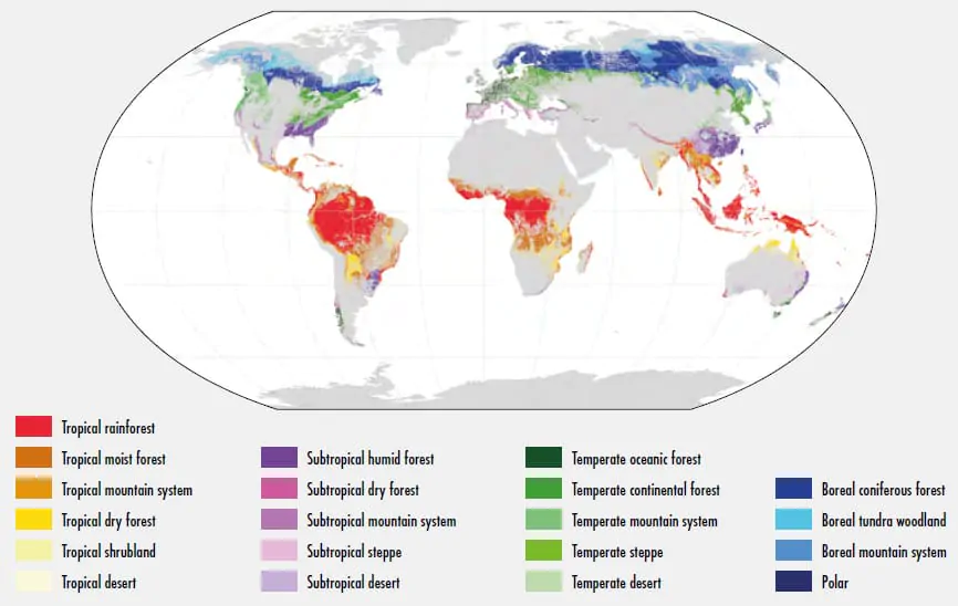 Gambar 1. Persebaran jenis-jenis hutan di dunia. | Foto: UNEP