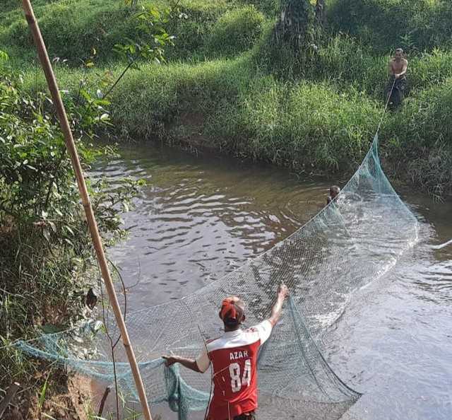 Aktivitas saat dilakukan pemasangan jaring untuk menangkap buaya muara yang diketahui berada di Sungai Desa Kemingking Dalam, Kecamatan Taman Rajo, Kabupaten Muaro Jambi. | Foto: BKSDA Jambi