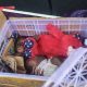 Gambar bayi orangutan sumatera yang gagal diperjualbelikan oleh tersangka TOM yang tidak ditahan oleh pihak kepolisian atas dasar jaminan orang tua tersangka. | Foto: Istimewa