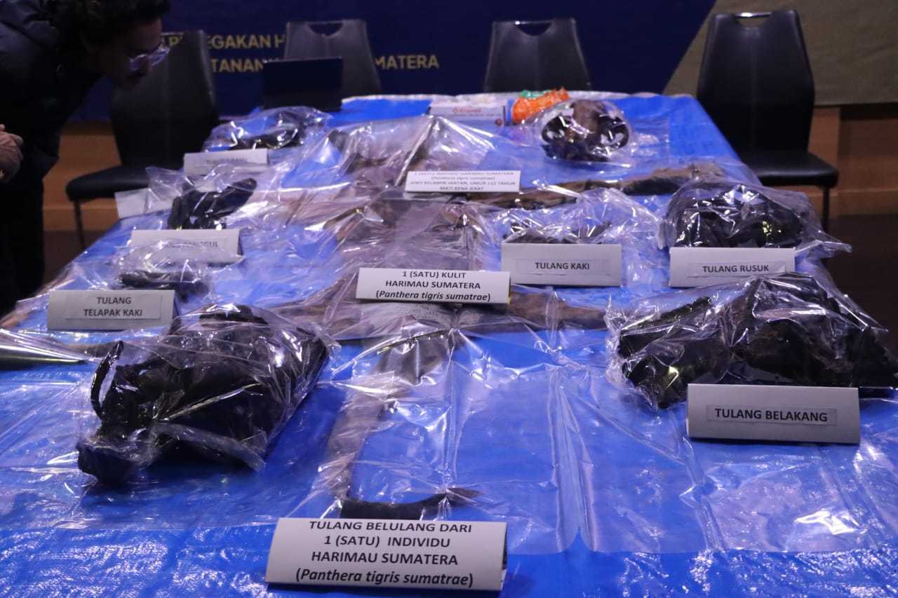 Gambar barang bukti kasus perdagangan bagian tubuh harimau sumatera. | Foto: Istimewa