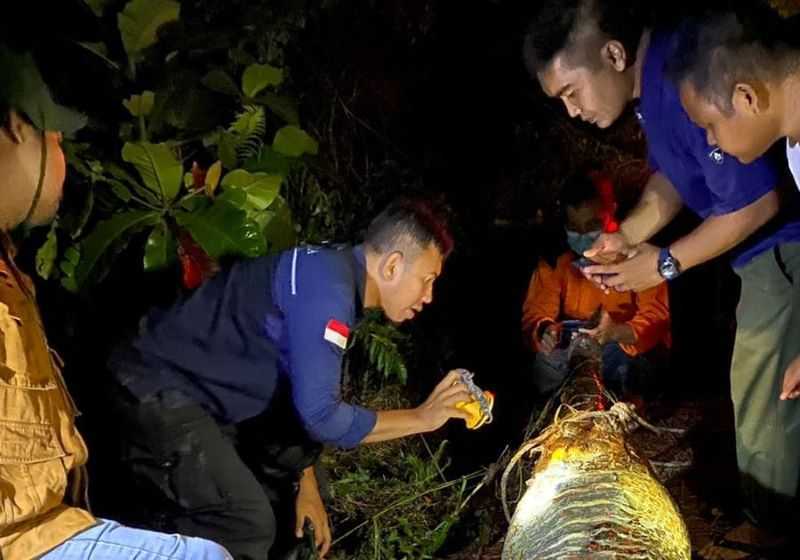 Buaya sinyulong ditemukan mati di Desa Terbangiang, Kecamatan Bandar Petalangan, Kabupaten Pelalawan tepatnya di perkebunan sawit PT Cakra Alam Sejati. | Foto: BBKSDA Riau
