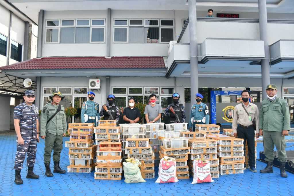 TNI AL Lanal Banjarmasin menggagalkan upaya penyelundupan sebanyak 1.300 ekor burung kicau rute Banjarmasin menuju Surabaya. | Foto: Dok. TNI AL