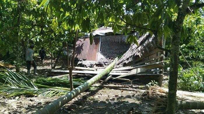 Peristiwa konflik gajah liar di Desa Cot Girek, Kecamatan Cot Girek, Kabupaten Aceh Utara, mengakibatkan kebun dan gubuk milik petani mengalami kerusakan, Jumat (17/6). | Foto: Dok. CRU Cot Girek 