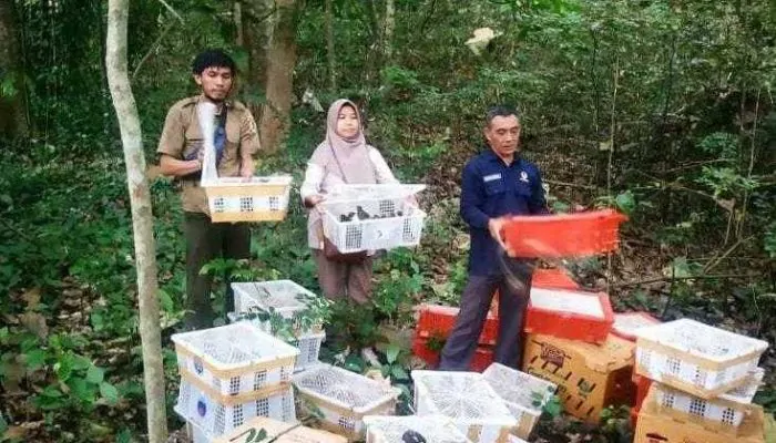 Hasil Sitaan 1.892 Ekor Burung Kicau Dilepasliarkan