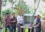 BKSDA Lepasliarkan Elang Langka Hingga Perkutut Jawa