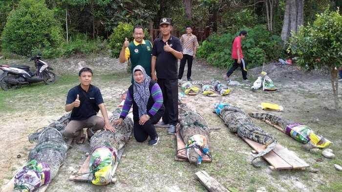 Puluhan ekor buaya dievakuasi ke PT Perkasa Jagat Karunia. | Foto: Dok. BBKSDA Riau