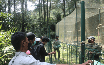 Pengenalan dunia konservasi kepada pelajar dengan melihat langsung display cage elang jawa di PSSEJ. | Foto: Savana Indonesia