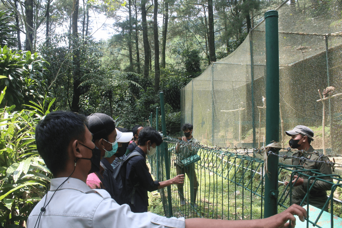 Pengenalan dunia konservasi kepada pelajar dengan melihat langsung display cage elang jawa di PSSEJ. | Foto: Savana Indonesia